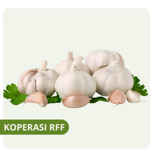 Bawang Putih Segar