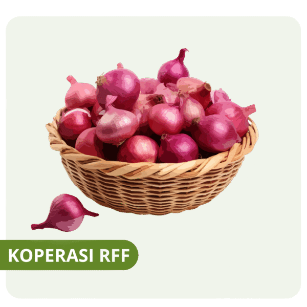 Bawang Merah Segar
