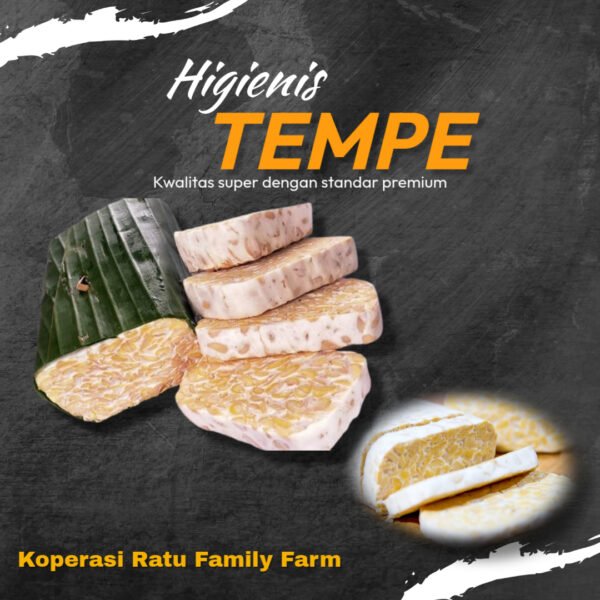 Tempe Kualitas Terbaik - Gambar 2