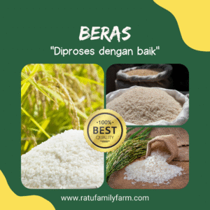 Beras Premium