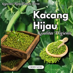 Kacang Hijau Pilihan Higienis