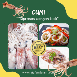 Cumi Fresh Kualitas Super