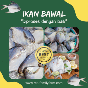 Ikan Bawal
