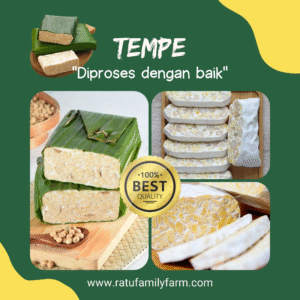 Tempe Kualitas Terbaik