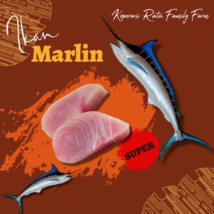 Ikan Marlin B