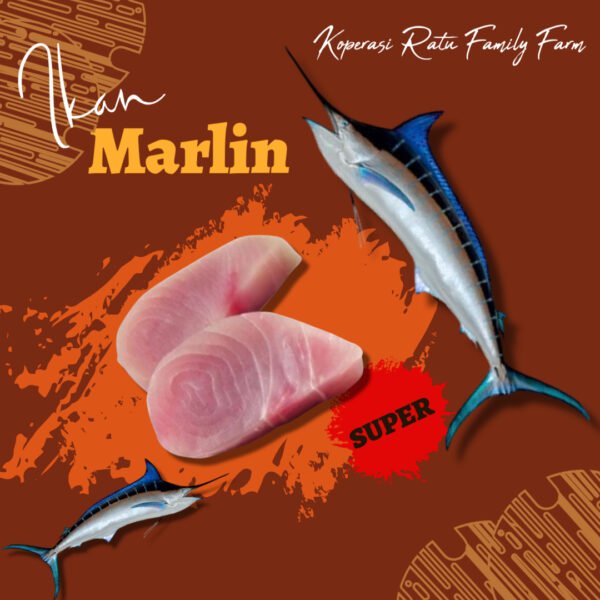 Ikan Marlin A